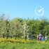 Plant et tre med Growing Trees Network!
