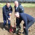 Plant et tre med Growing Trees Network!