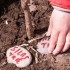 Plant et tre med Growing Trees Network!